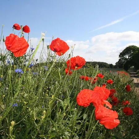 In Klein Str Mkendorf 別荘